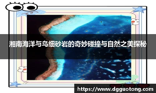 九游体育